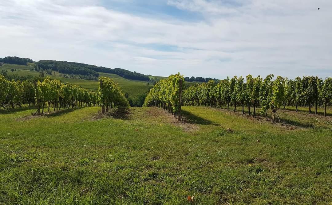 Domaine Et Manoir Du Picaud Villa Monestier  Bagian luar foto
